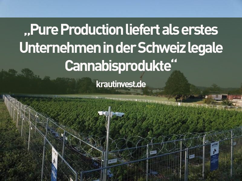Pure Production liefert als erstes Unternehmen in der Schweiz legale Cannabisprodukte