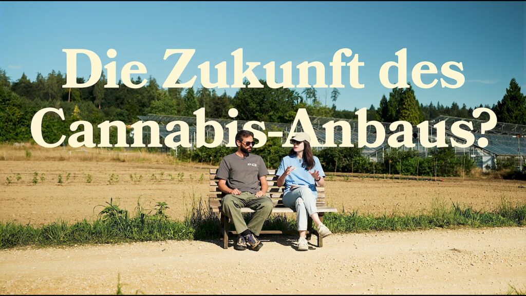 Grashaus Projects x Pure: Gemeinsam Pionierarbeit