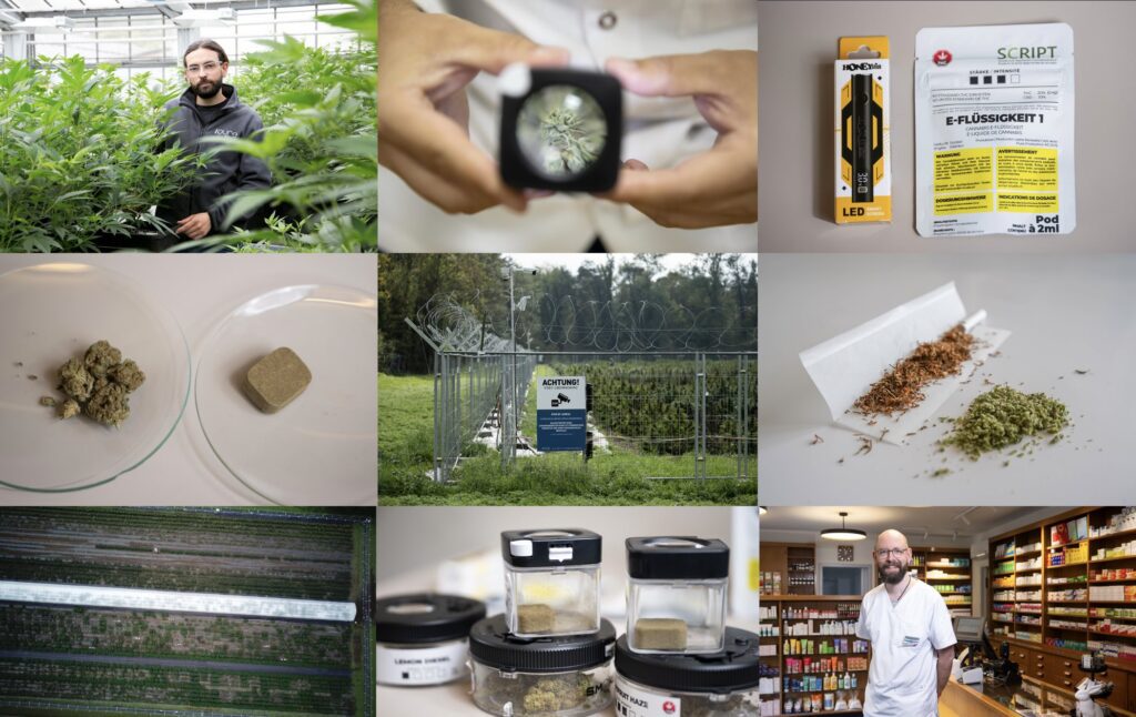 SCRIPT: A thoughtful look into Switzerland’s cannabis pilot landscape